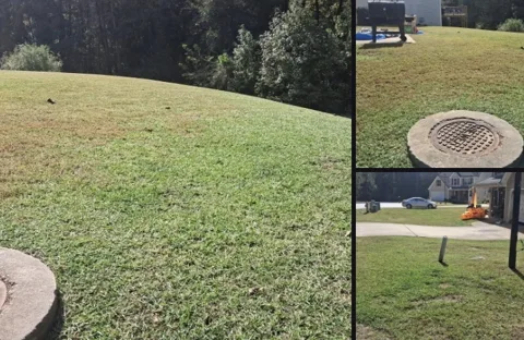 Three photos of the freshly mowed lawn sent to the customer
